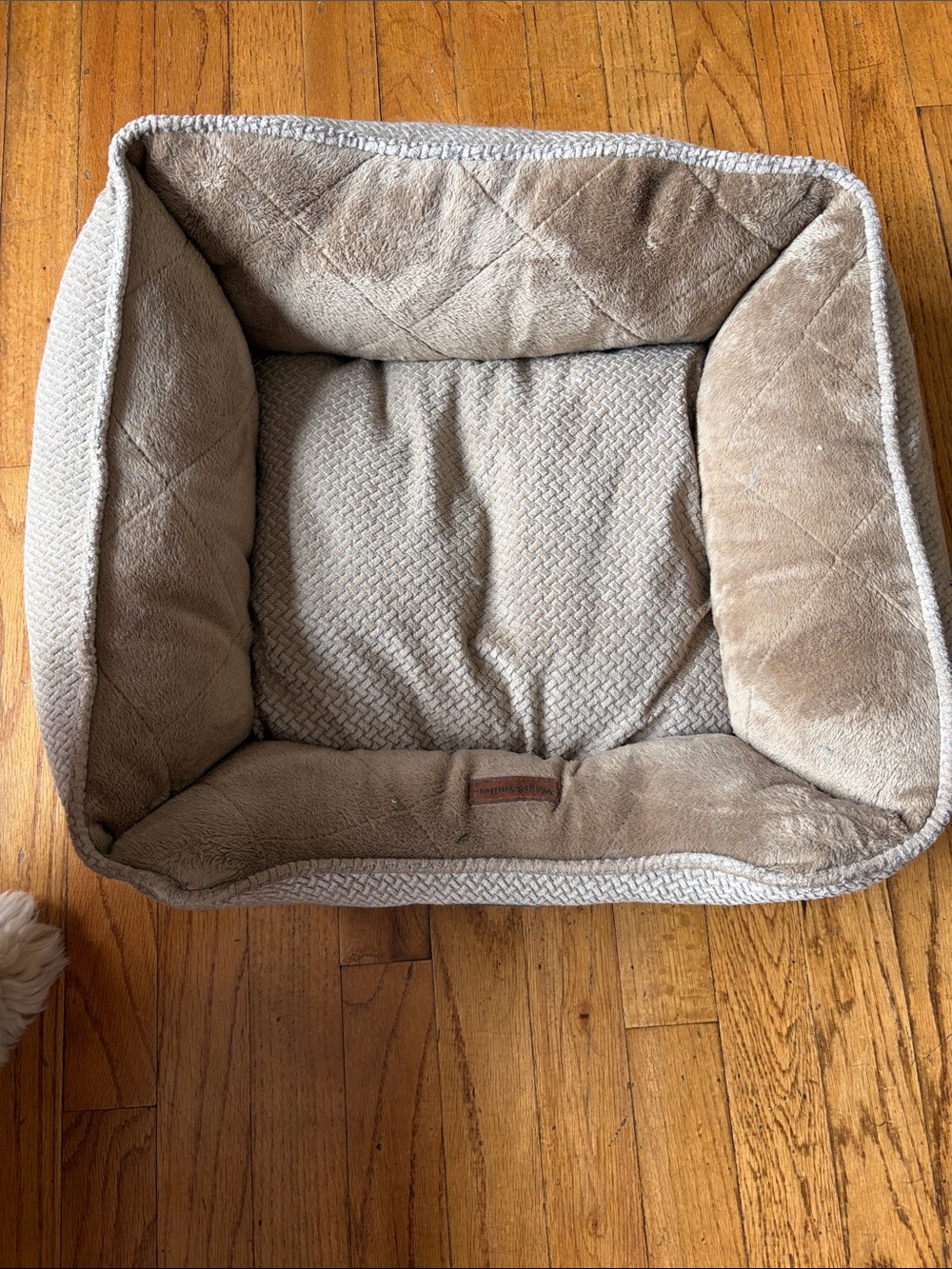 Wags & Smiles Plush Pet Bed in Taupe
